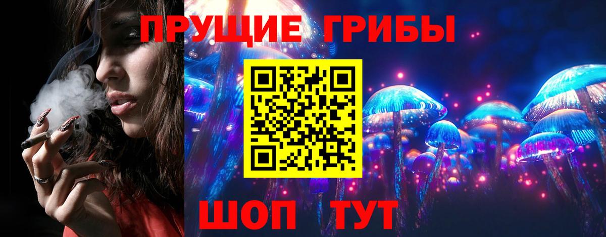 Псилоцибиновые грибы прущие грибы Фрязино