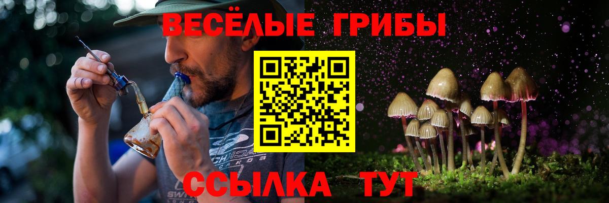 Псилоцибиновые грибы прущие грибы  Вход с VPN  Фрязино 